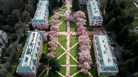 prepscholar university of washington|university of washington acceptance rate.